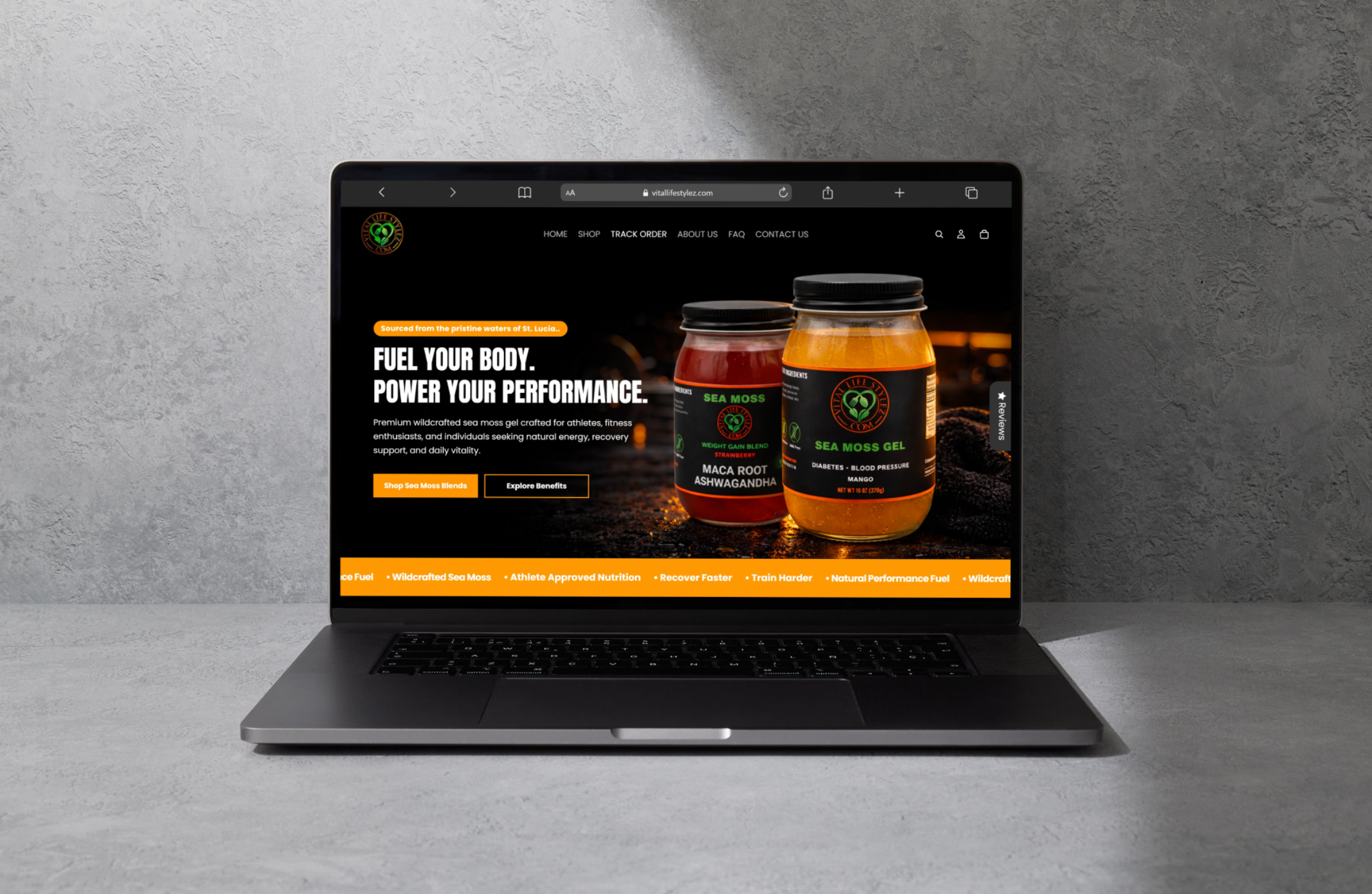 Web development portfolio project