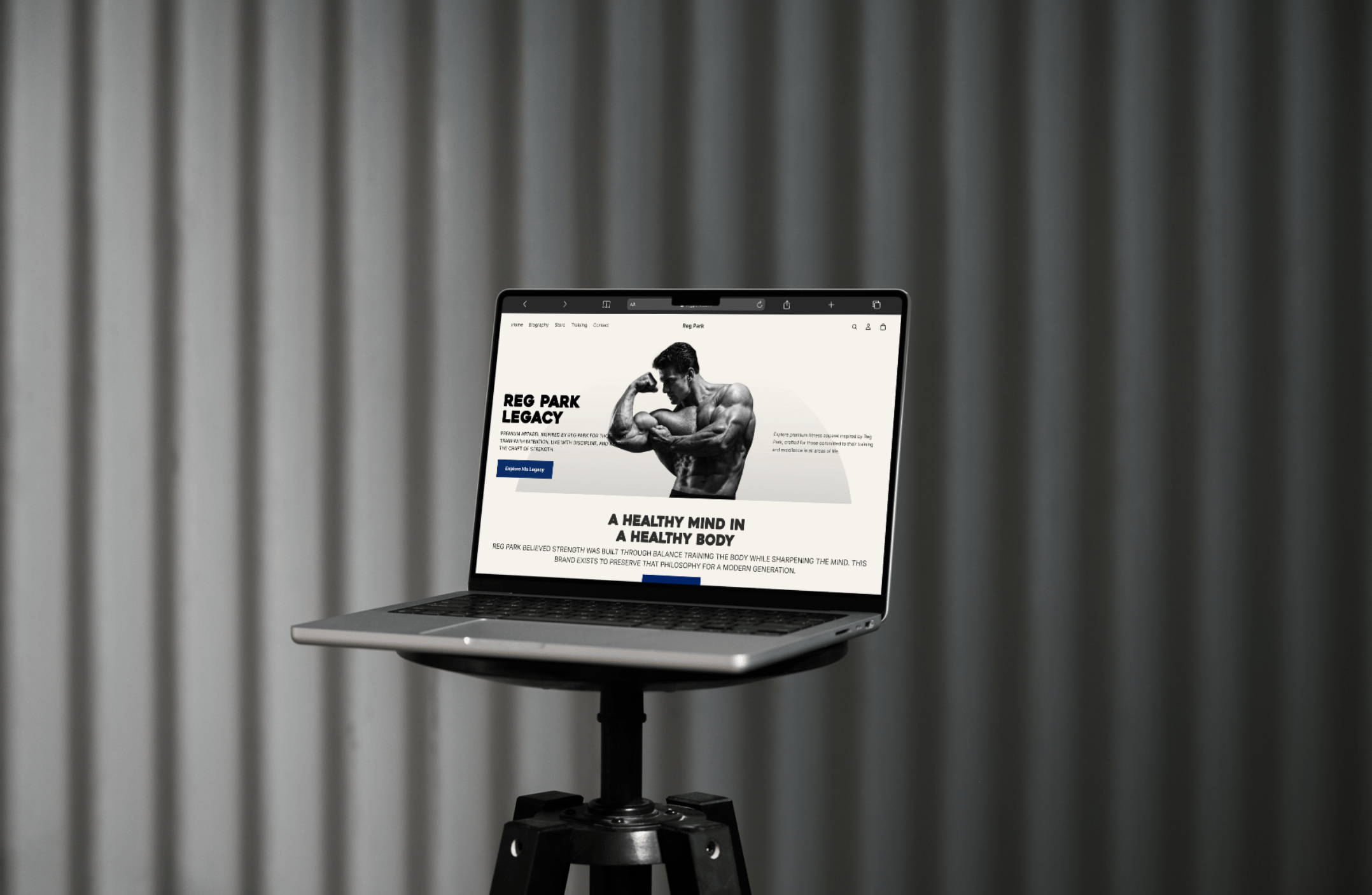 Web development portfolio project